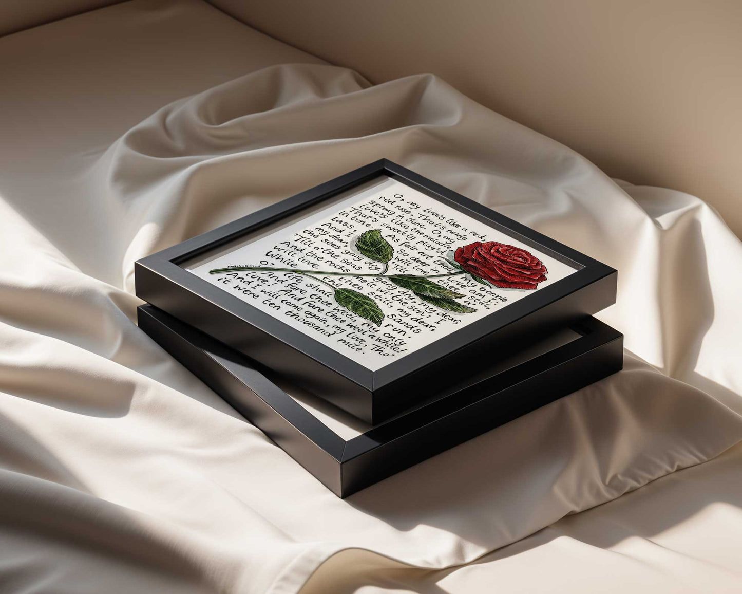 Rabbie Burns - My Luve is like a Red Red Rose