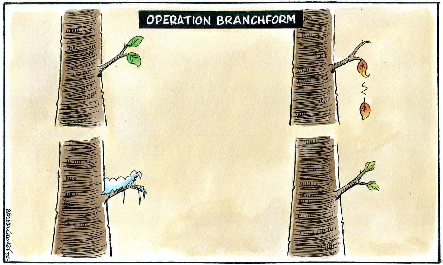 Steven Camley cartoon for The Herald - 14th May 2024 - (Print 1226)