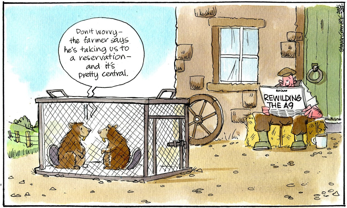 Steven Camley cartoon for The Herald - 29th May 2024 - (Print 1236)