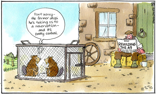 Steven Camley cartoon for The Herald - 29th May 2024 - (Print 1236)